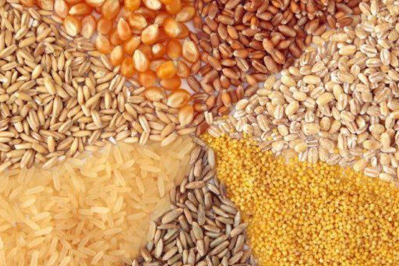 توزیع ۷۵۰۰ تن نهاده دامی در بین دامداران بردسکن