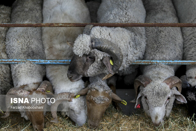 پیام خراسان