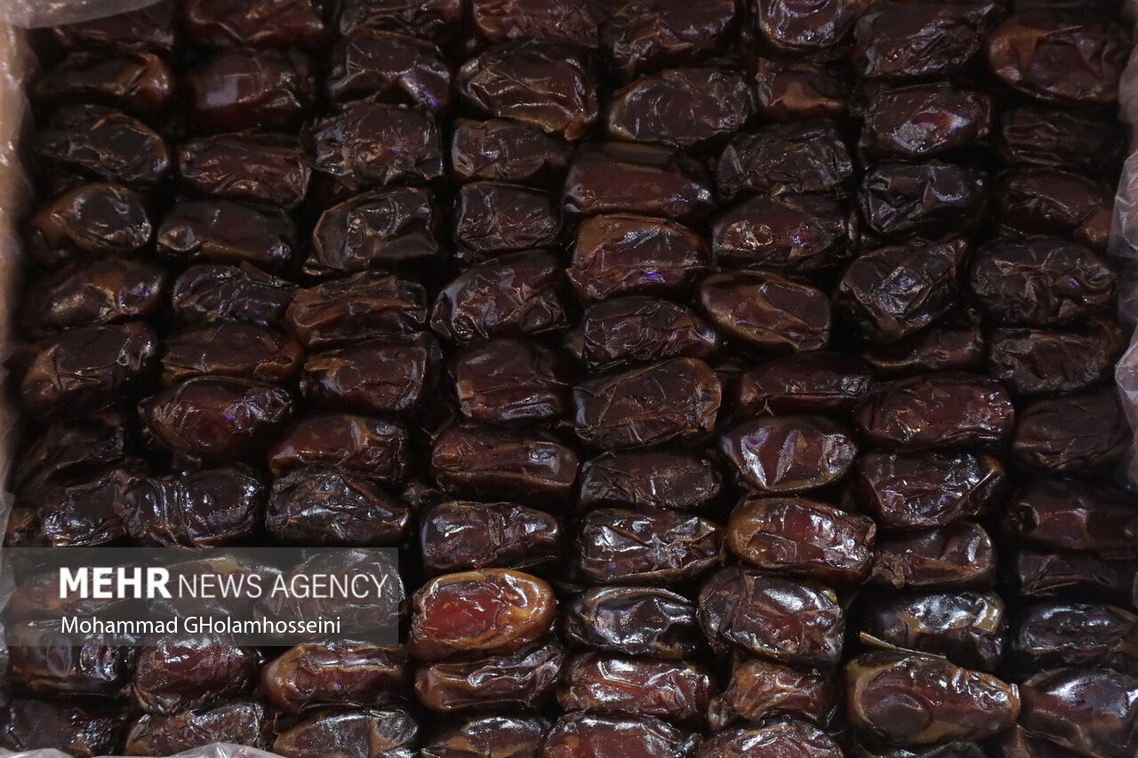 توزیع خرمای تنظیم بازار رمضان در خراسان جنوبی آغاز شد