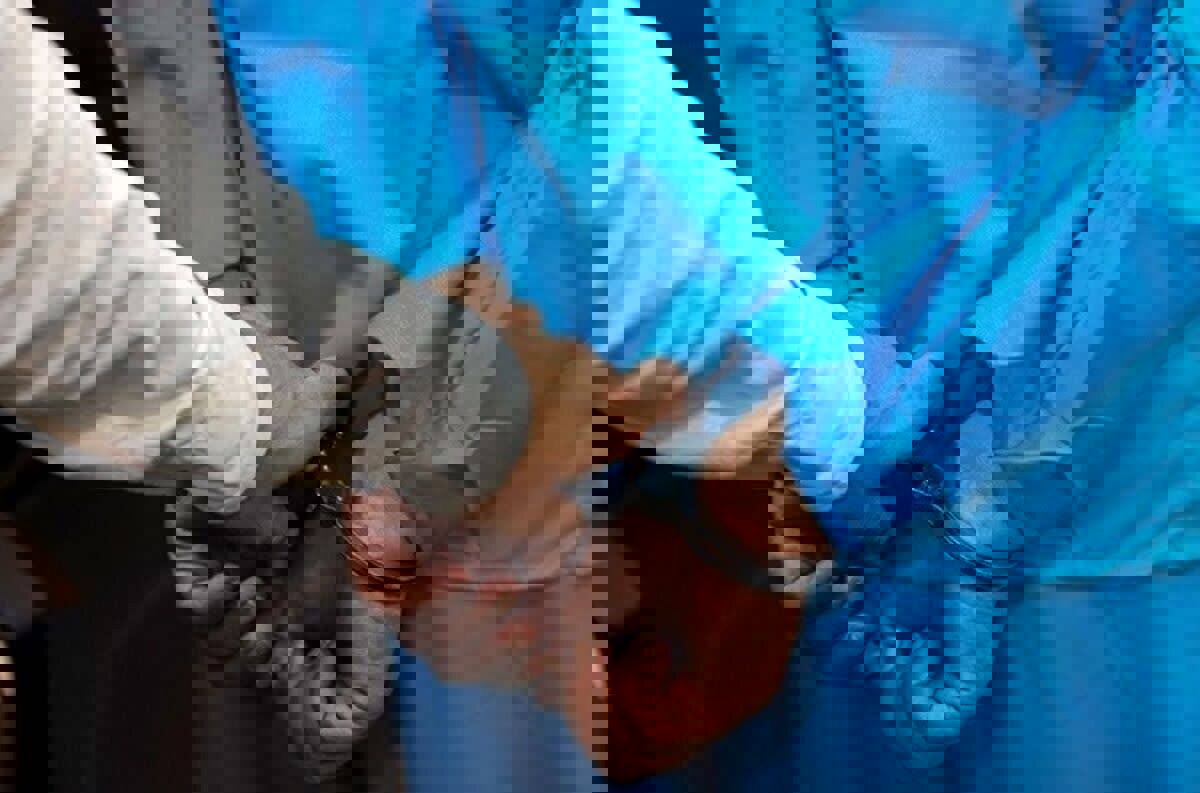 طاهری: سارق اماکن دولتی در جاجرم دستگیر شد