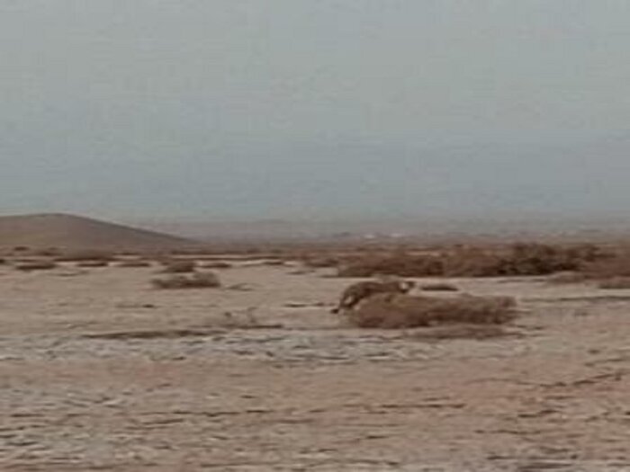 پیام خراسان