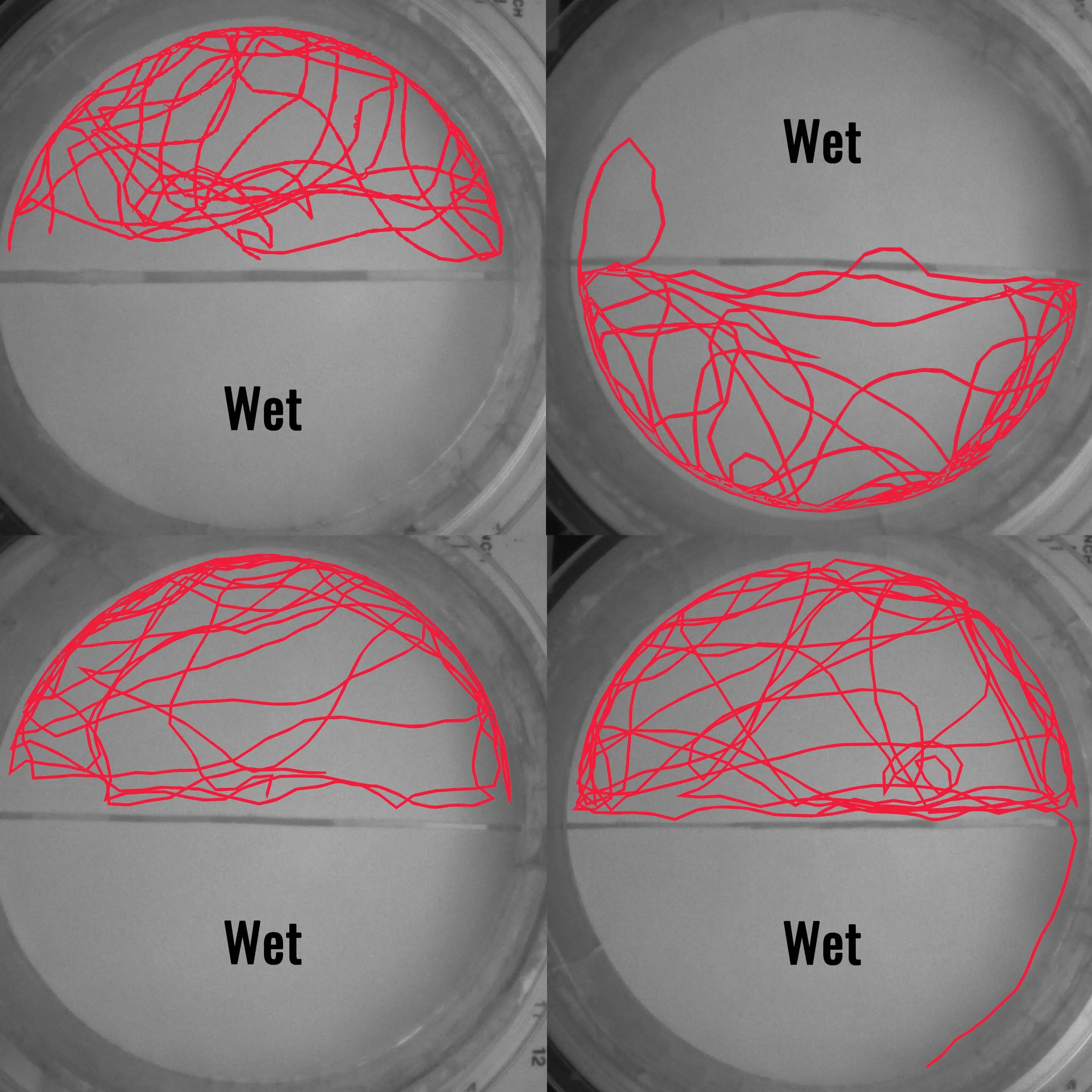 پیام خراسان