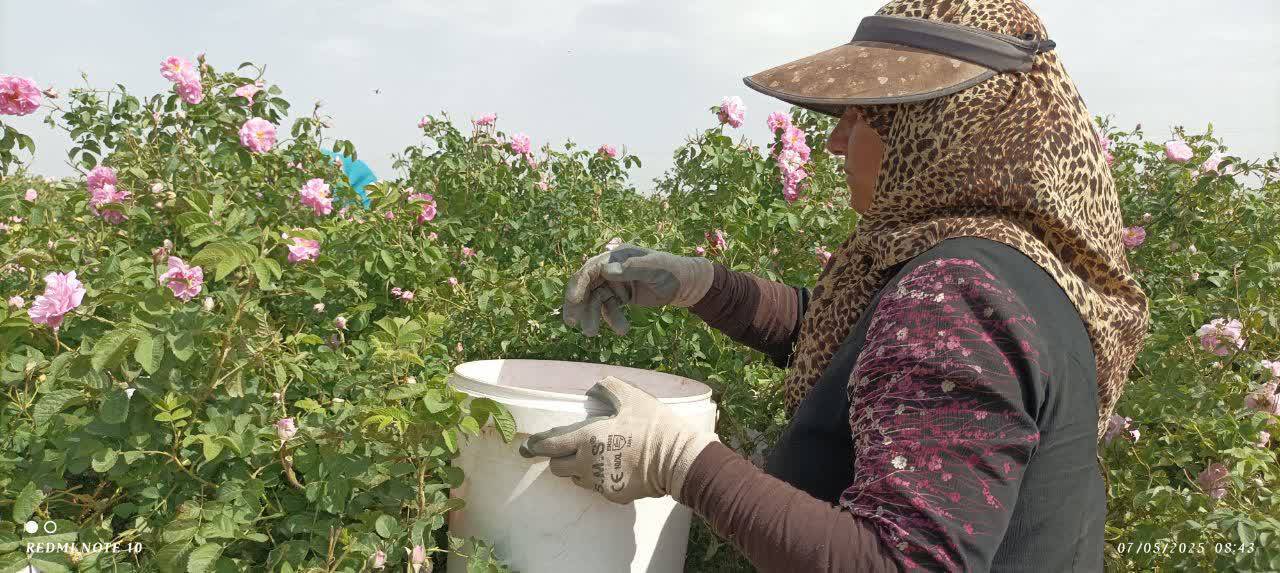 پیام خراسان