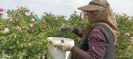 پیام خراسان