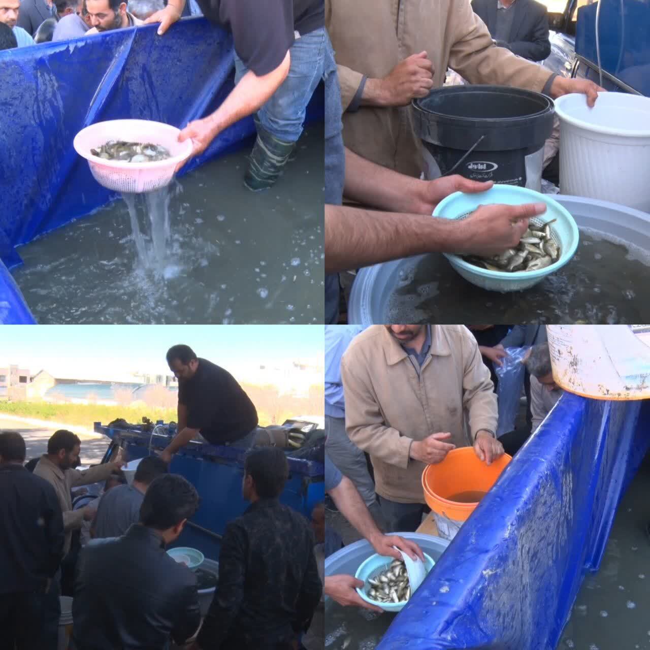 پیام خراسان