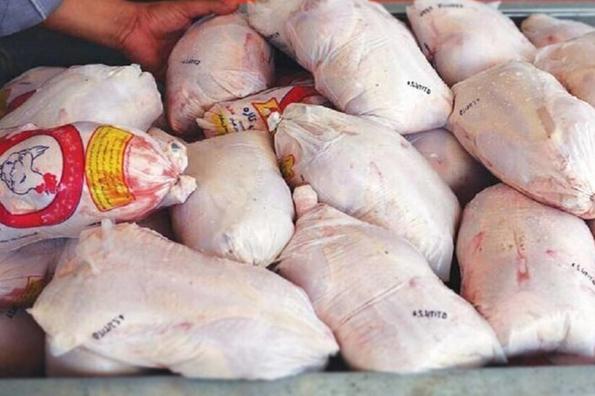 آغاز توزیع گسترده ۱۰۰۰ تن مرغ منجمد در خراسان رضوی