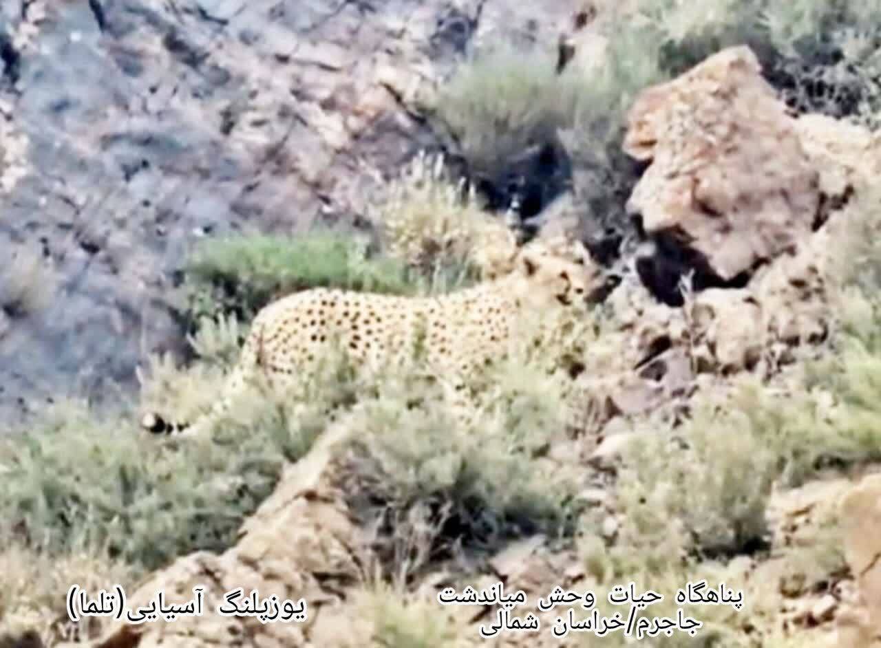 پیام خراسان