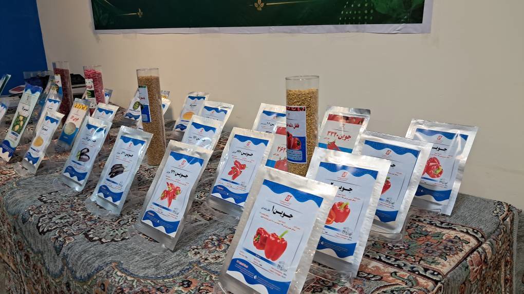 رونمایی از ۶ بذر جدید در مجموعه کشت و صنعت جوین سبزوار