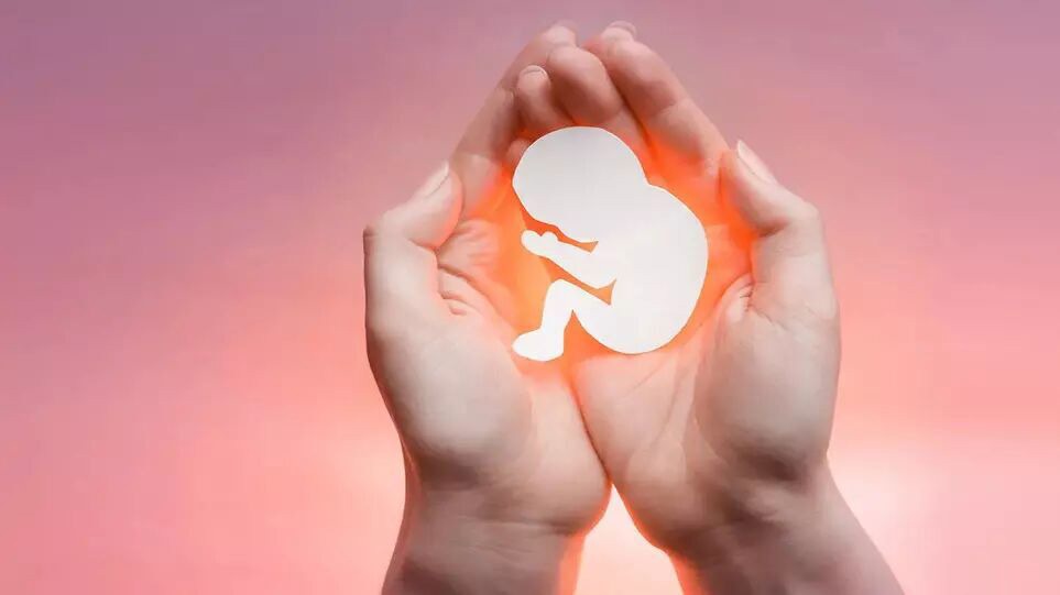 بازگشت ۳۰ تپش زندگی در فیروزه