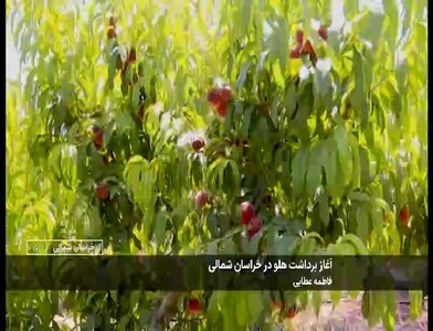 پیام خراسان