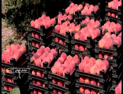 پیام خراسان