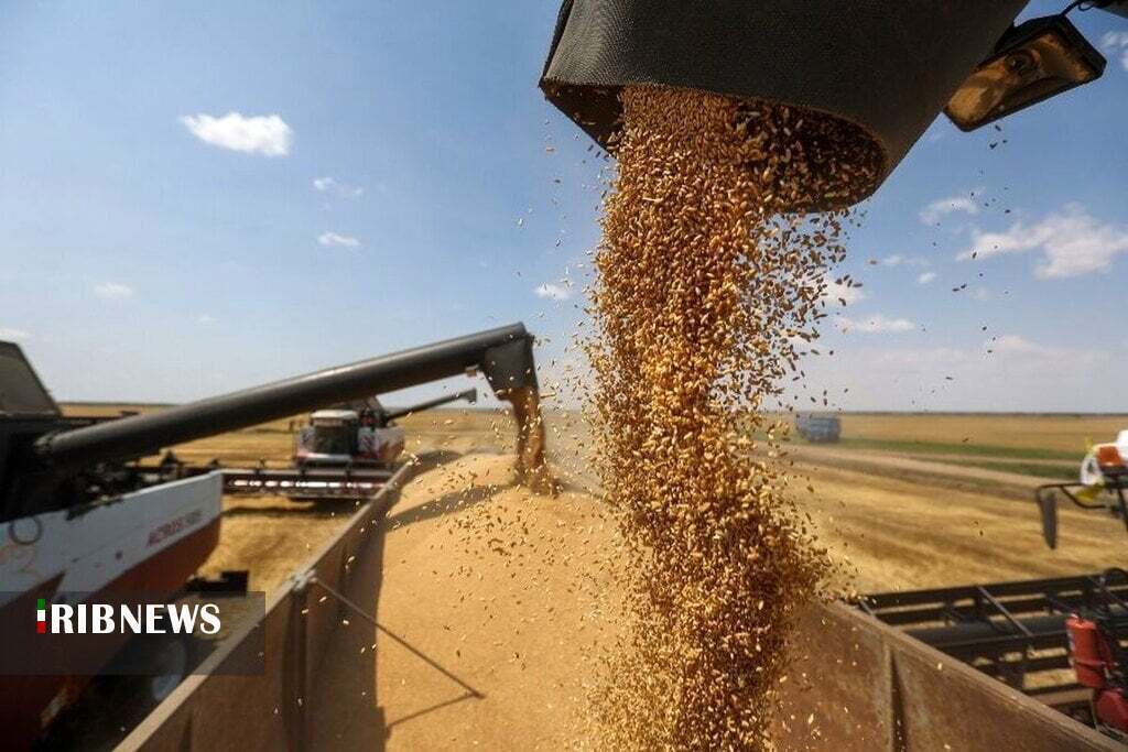 خرید تضمینی گندم در خراسان‌شمالی به ۳۴ هزار تن رسید