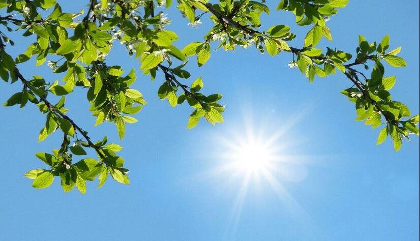 ثبت دمای بیش از ۴۰ درجه در ۱۰ شهر خراسان رضوی