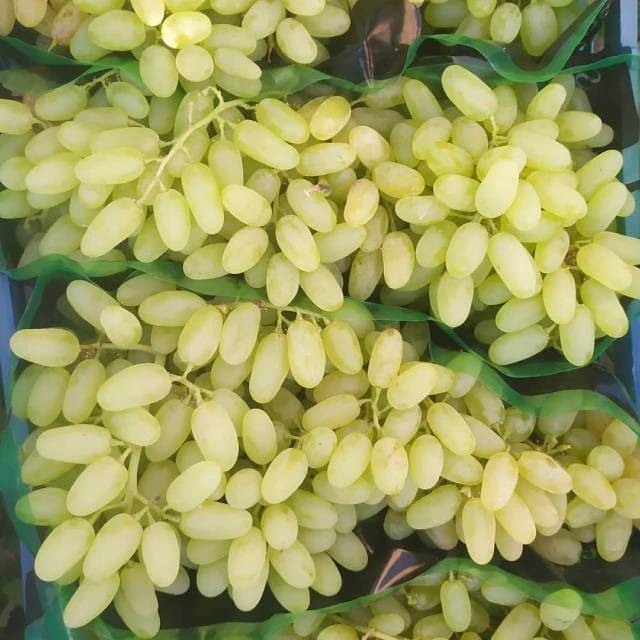 پیام خراسان