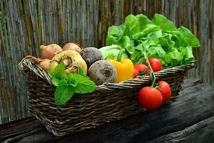 محصولات اصلاح ژنتیکی در صورت رعایت ضوابط شرعی و ایمنی، می‌توانند حلال باشند