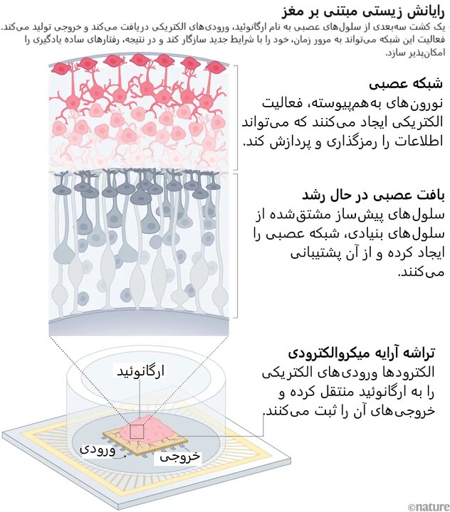 پیام خراسان