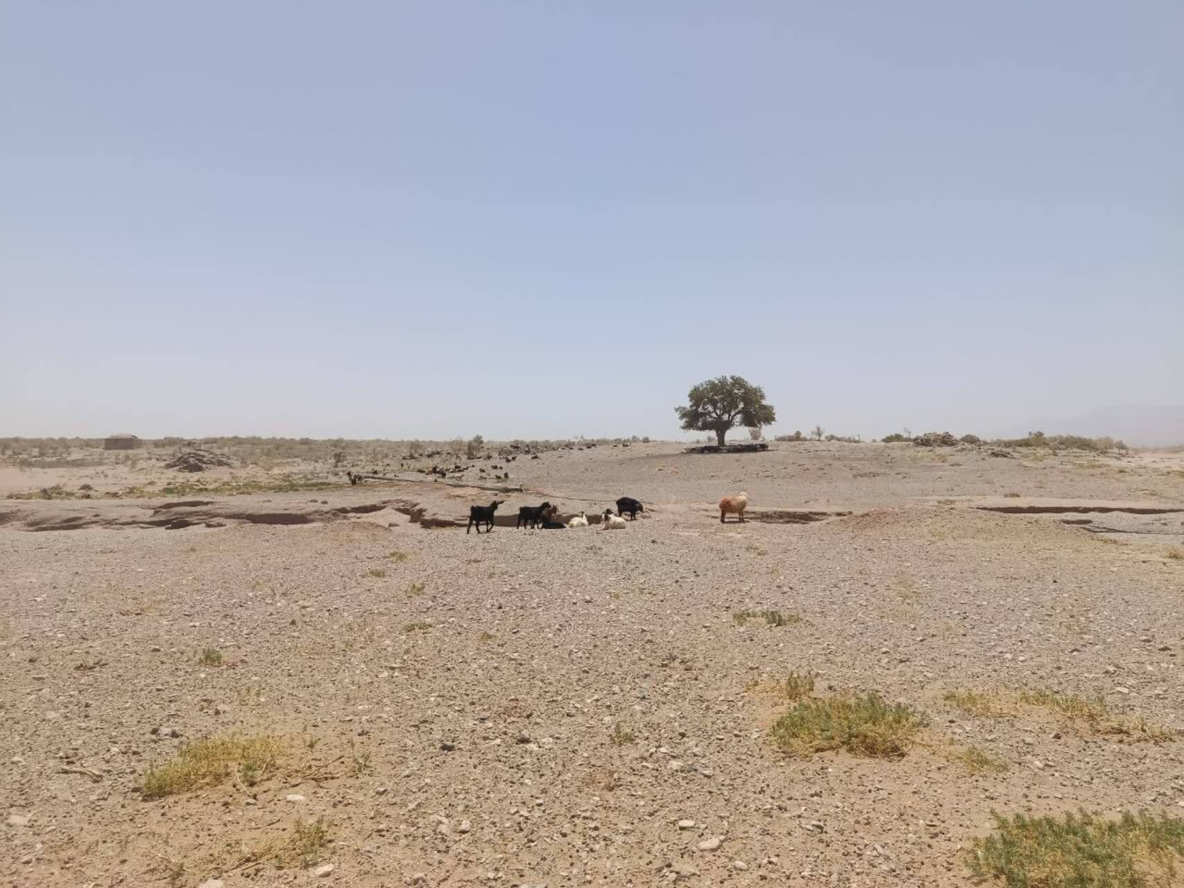 پیام خراسان