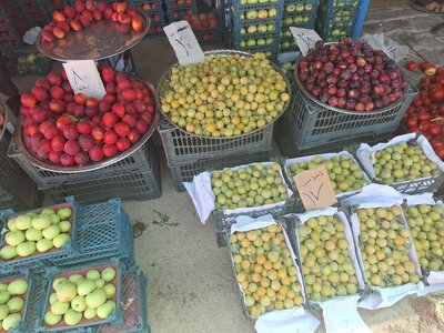 پیام خراسان