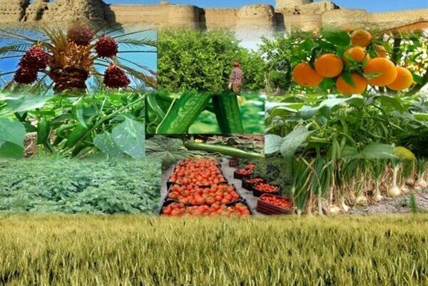 افتتاح ۳۶ طرح جهاد کشاورزی خراسان شمالی در هفته دولت