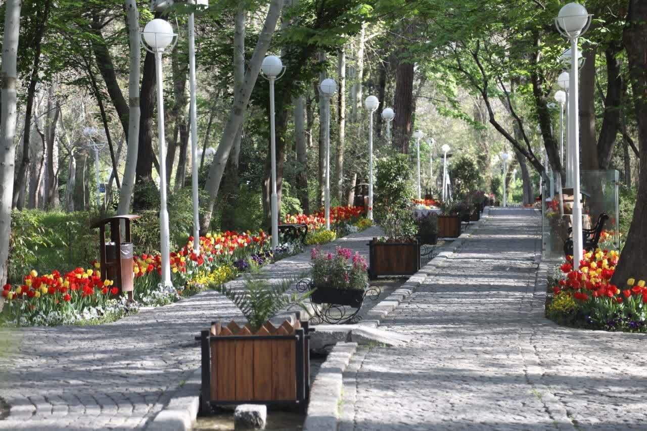 آغاز روند کاهش نسبی دما در خراسان رضوی