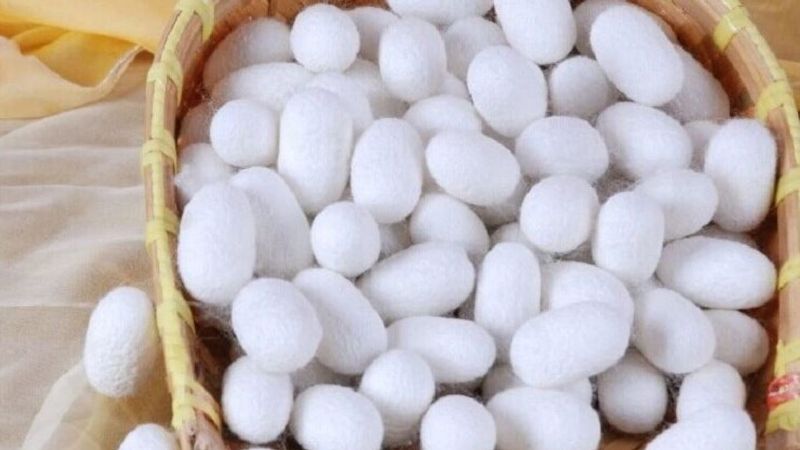 پیام خراسان