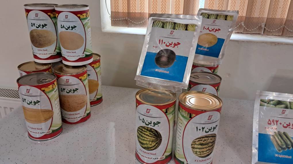 ایران به صادرکننده بذر در محصولات استراتژیک تبدیل شده است