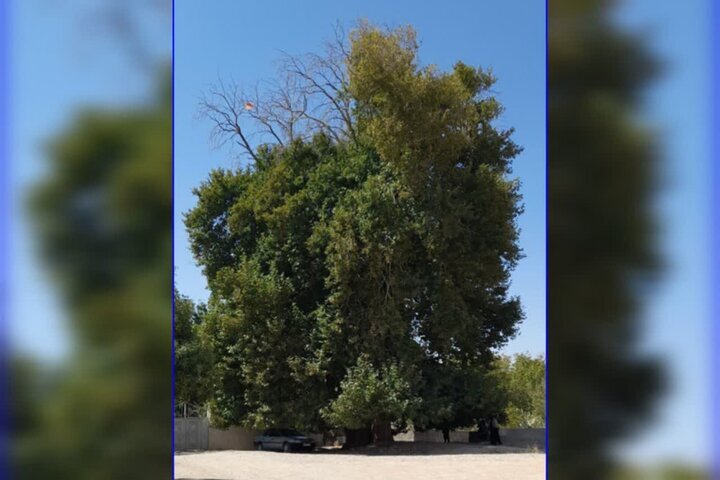 پیام خراسان