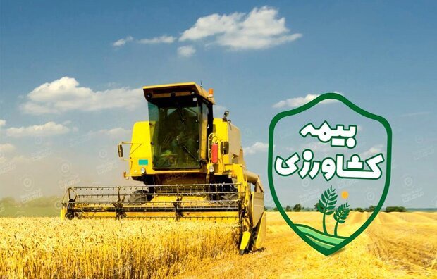 ۱۳۸ هزار هکتار از اراضی زراعی و باغی در خراسان شمالی بیمه شد