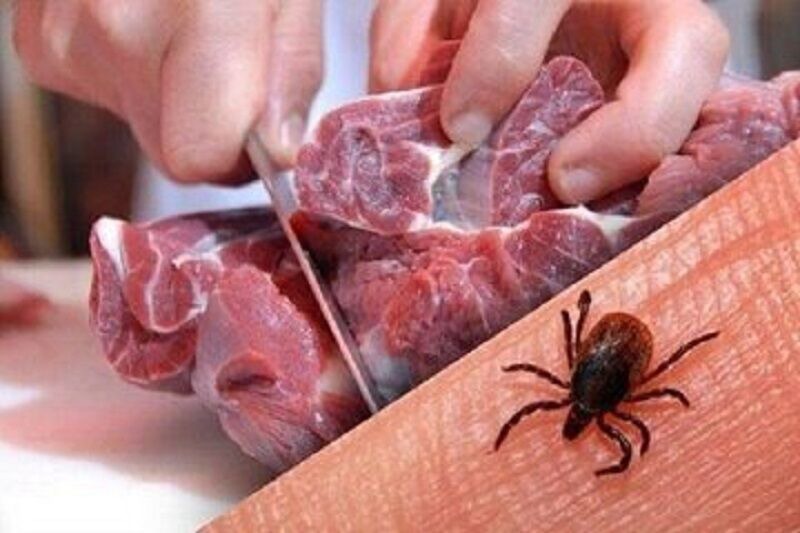 شناسایی ۱۱ مورد ابتلا به تب کریمه کنگو در یزد