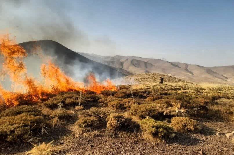 گودرزی: آتش‌سوزی در باغات روستای بیدک بجنورد مهار شد
