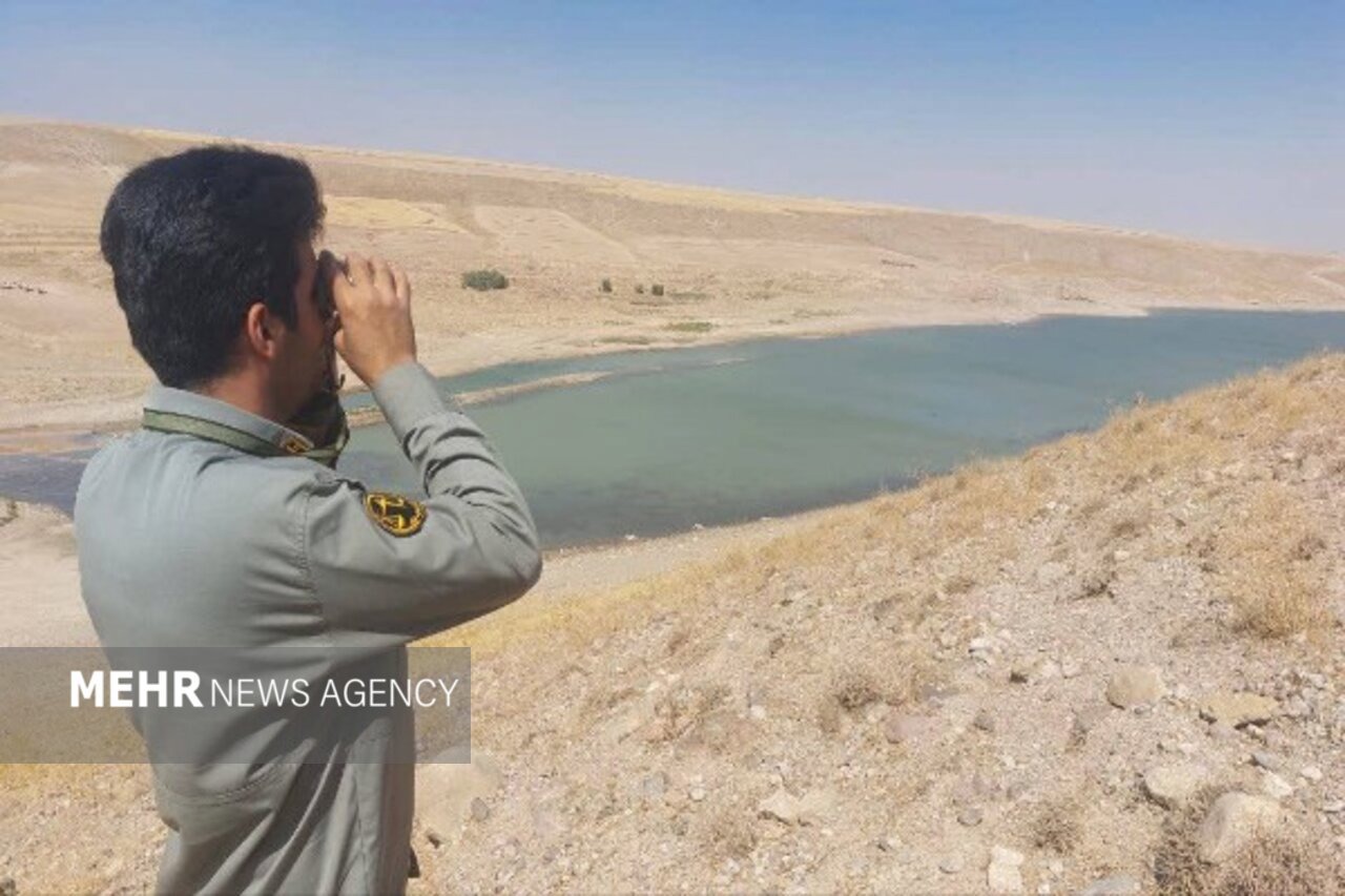 دریکوند: پایش آنفلوآنزای فوق حاد پرندگان در فاروج آغاز شد
