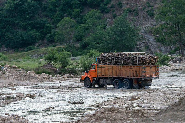 ماجرای همکاری دو جنگلبان با مافیای چوب در هیرکانی؛ جنگلبانان در تور مافیای چوب؟