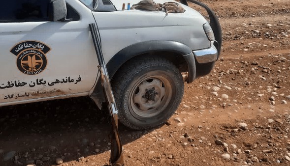 کشف سلاح غیرمجاز و لاشه ۲ کبک وحشی در پاسارگاد