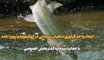 آمادگی بخش خصوصی برای فرآوری ماهیان سردابی در کهگیلویه و بویراحمد