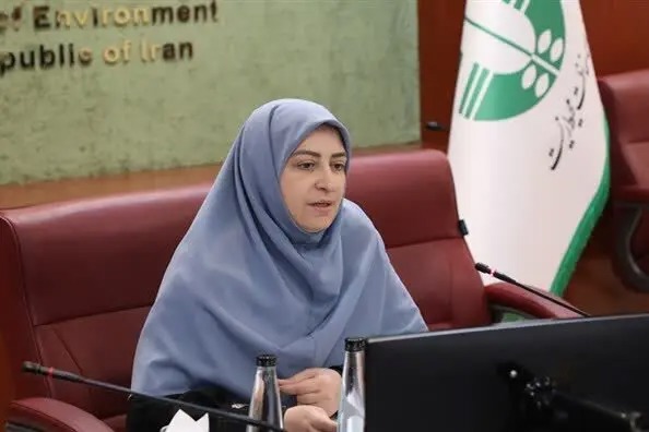 سفر رئیس سازمان حفاظت محیط‌ زیست به استان خراسان جنوبی