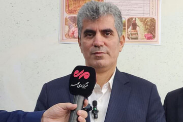 صادرات کیوی گیلان از مرز ۲۷ هزار تُن گذشت