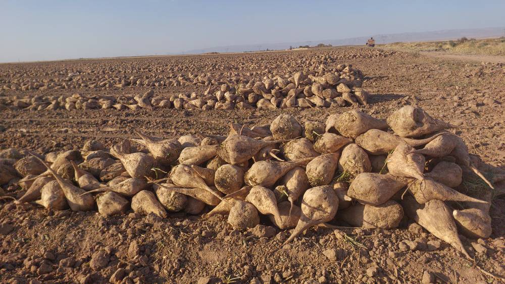 پیام خراسان