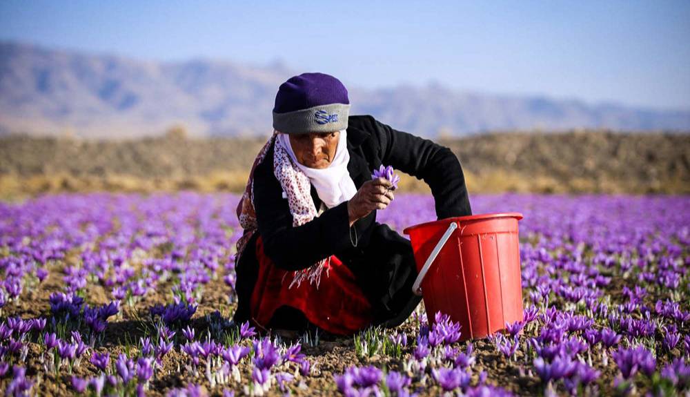 پیام خراسان